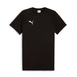 Puma teamEVOSTRIPE Tee T-Shirt