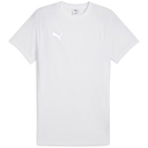 PUMA teamEvostripe T-Shirt