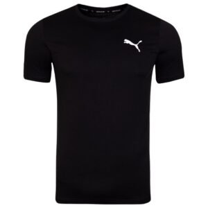 Puma teamGOAL Casuals Tee