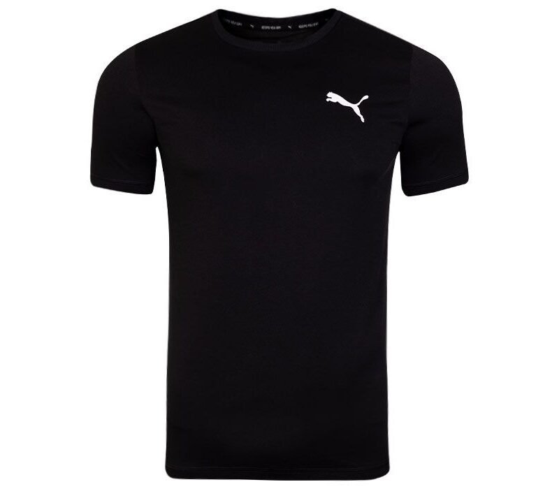 Puma teamGOAL Casuals Tee