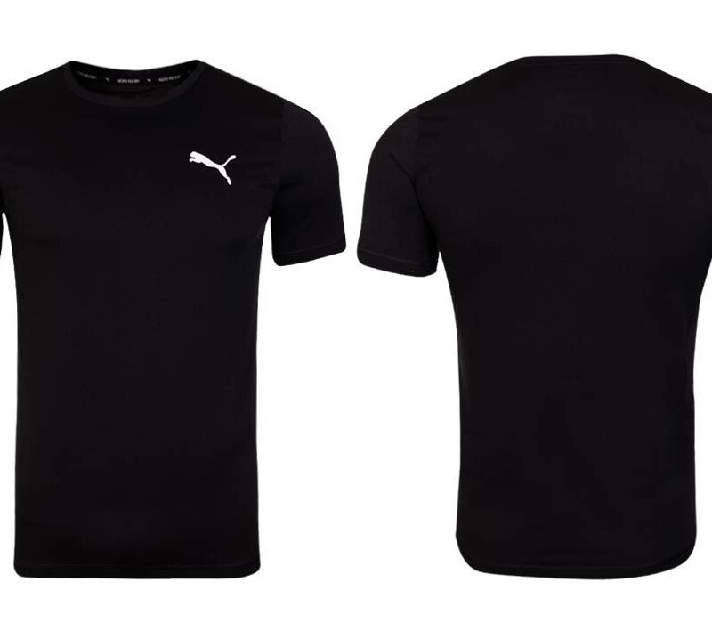 Puma teamGOAL Casuals Tee